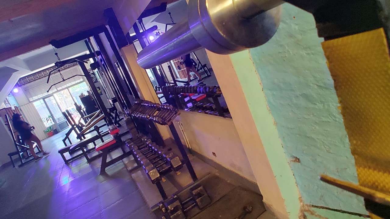 Sector Fuerza y Pesas Libres en Black Panther Gym